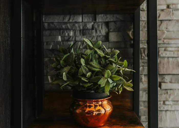 Visitzakopane - Supernova *